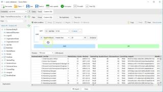Visual Query Builder preview
