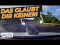 Wütender LKW-Fahrer, kritische Überholmanöver und Stunttauben | #GERMAN #DASHCAM | #075