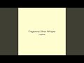 Fragments Silver Whisper