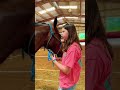 Beginner Vs Experienced Horse People! #shorts #animals #horselover #shortsviral