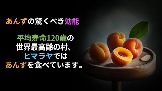 平均寿命120歳の世界最高齢の村、ヒマラヤではあんずをおやつに楽しんでいます。