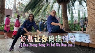 Hao Xiang Rang Ni Pei Wo Dao Lao - 好想让你陪我到老 ☆ Mr. Lie Miau Liong