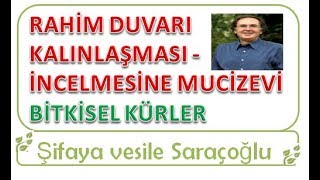 RAHİM DUVARI KALINLAŞMASI VE İNCELMESİNE KARŞI MUCİZEVİ BİTKİSEL KÜRLER ~ Şifaya vesile Saraçoğlu