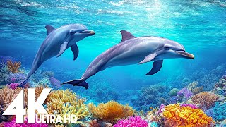 Aquarium 4K VIDEO (ULTRA HD) 🐠 Beautiful Underwater Life - Relaxing Piano