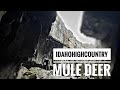 YOU WONT BELIEVE WHAT WE FOUND! | AN IDAHO MULE DEER & ELK HUNT