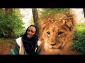 KUSH - Les Enfants d'Afrique