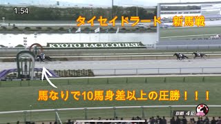 タイセイドラード　2歳新馬　2024.12.22　京都競馬場