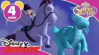 Magical Moments | Sofia the First: Crackle The Dragon | Disney Junior UK
