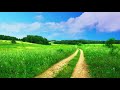 spring meadow asmr ambience sounds of nature birds singing wind for sleep study meditation