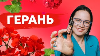 🌺ГЕРАНЬ эфирное масло. Почему оно в моей косметичке? Ароматерапия, история и исследования