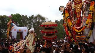 Peringanad Ulsavam | 2015