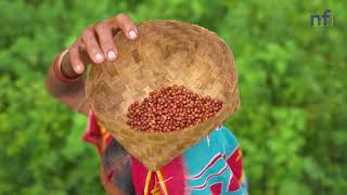 Indigenous Knowledge & Climate Change
