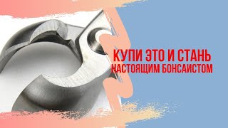 Что нужно чтобы начать заниматься Бонсай. Какие инструменты купить для бонсай? How to start bonsai?