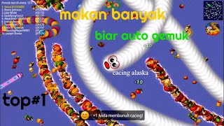 BAR BAR MAKANAN SAMA CACING KECIL ALASKA AUTO PERINGKAT1! - Worms Zone Indonesia