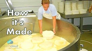 How Whey Protein is Made | Step by Step Behind the Maker
