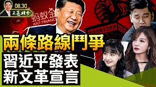 “两条路线斗争”，习近平发表新文革宣言，收回承包耕地，打击资本市场、文艺、房地产和教育，一切重回国有化（政论天下第498集 20210830）天亮时分