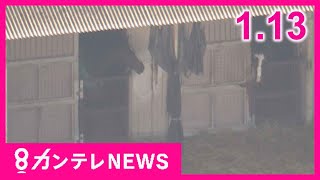 【1/13のニュース】競馬場の馬暴走で1人意識不明｜夫を殺害か妻逮捕〈カンテレNEWS〉 (2025/01/13 12:10)