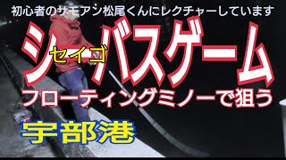 【宇部港】フローティングミノーで狙う【シーバス】