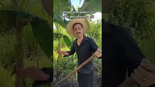 Campesinos en Cuba 🇨🇺👨‍🌾 (Ravelo Humor Cubano)