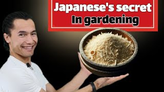 Brilliant Japanese Gardening Tricks Everyone Should Know!