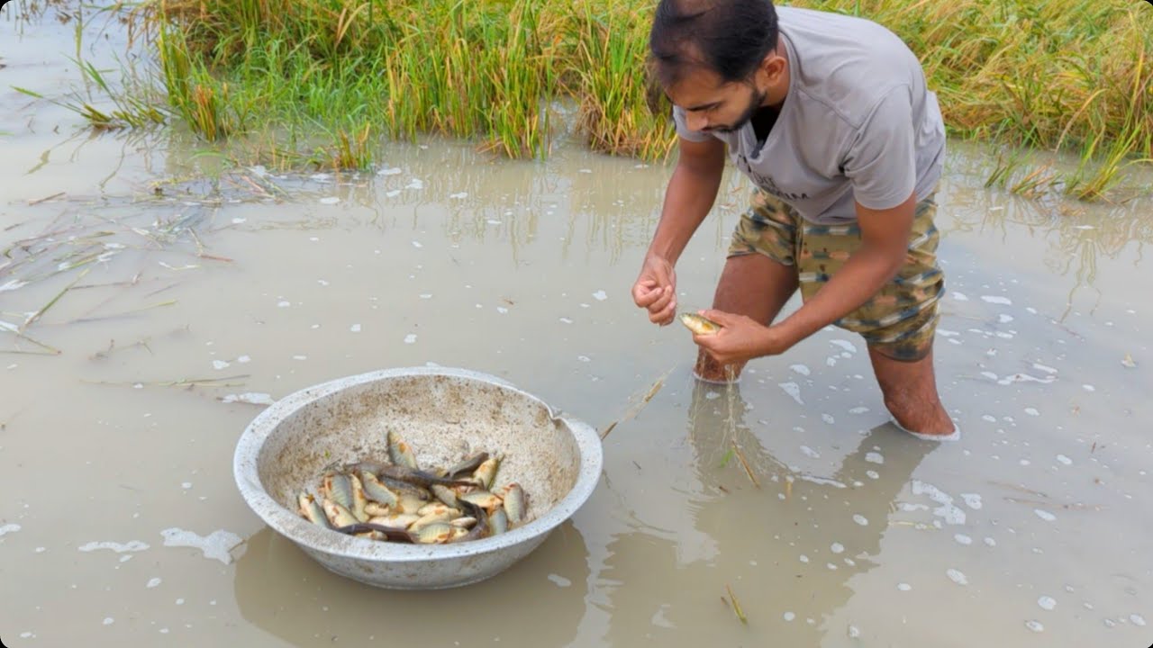 Amazing Current Net Fishing | Best Gill Net Fish Trap Techniques ...