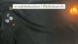 ความสัมพันธ์ของฉันและ ? ที่ไพ่เห็นเป็นอย่างไร (Pick a card || Timeless)