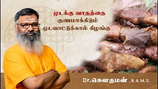 முடக்கு வாதத்தை குணமாக்கிடும் முடவாட்டுக்கால் கிழங்கு | Cure for Rheumatoid Arthritis| Dr. Gowthaman