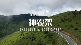 神农架（Shennongjia Scenic Area）