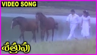 Sathruvu - Telugu Super Hit Video Song -  Venkatesh, Vijayashanthi