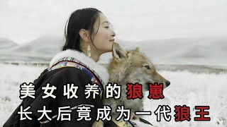 中国美女和狼王跨越种族的感情，不顾一切养大狼王遗孤，助他重返狼群#中国 #纪录片 #漂亮女孩 #狼群 #重庆