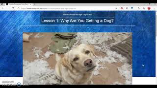 Universal Class Tutorial