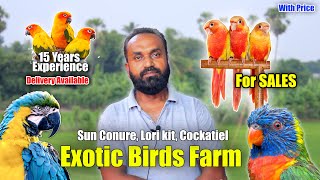 Exotic Birds Farm | Part 2 | தமிழ் | For Sales | 15 வருட அனுபவம் | @TIMEILLAPAA