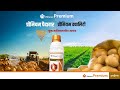 Vibrance Premium | Potato | USP | Hindi | Syngenta