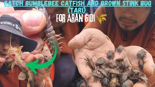 Catching Bumblebee Catfish \u0026 🪲Stink Bug for Aran Gidi Festival! 🎉| Adi Festival | Arunachal Pradesh