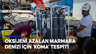 Oksijeni azalan Marmara Denizi için ‘koma’ tespiti