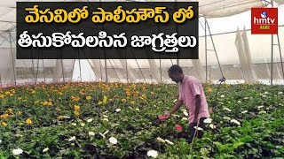 Poly House Farming Techniques in Summer Season | hmtv Agri