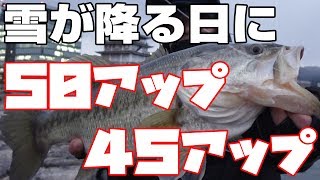 12月下旬、雪が降る日に５０アップと４５アップのバスが釣れた！【真冬バス釣り】【琵琶湖】モガミバイブ