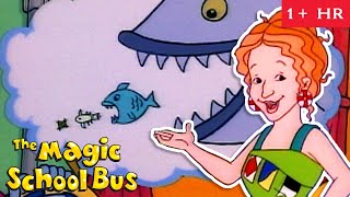 Food Chain, Habitats and Decompostion | Full Episodes | The Magic School Bus | Scholastic Classic