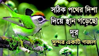 সঠিক পথের দিশা দিয়ে স্থান গড়েছো দূর ||sotik pother disha diye | gojol (720P)#sotik_poth