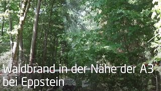 Waldbrand und ein Toter bei Eppstein