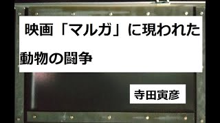 映画「マルガ」に現われた動物の闘争　作：寺田寅彦