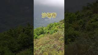 偏僻山徑 #行山好去處 #一路行一路講