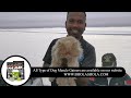 jaipur dog show 2019 overview