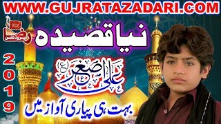 New Qasida Shahzada Ali Asghar 2019 | Zain Abbas Jeveen | Raza prodution