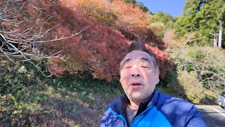 丹波シリーズ　円通寺の紅葉　丹波の寺社　2023年11月22日　丹波の紅葉の名所　モミジ　丹波の散策道　景観　丹波市の見どころ