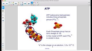 Metabolism and ATP