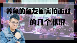 养鱼的鱼友都害怕面对的几个状况   |   小马说水族   |   海王频道