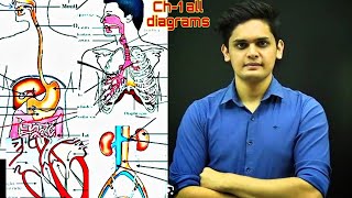 LIFE PROCESS CLASS 10 ALL DIAGRAMS EXPLAINED BY PRASHANT BHAIYA||#cbse#abhay#lifeprocesses#class10th