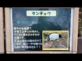 番外編 ナスビくん、フジオくん、タカコちゃん　タンチョウ【東武動物公園】【2022年11月7日】