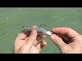 How To Rig & Fish FROZEN SHRIMP For Inshore Slams